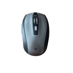 Polosmart PSWM16 Kablosuz Pilli Mouse Siyah - 1